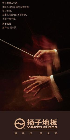 扬子地板图片