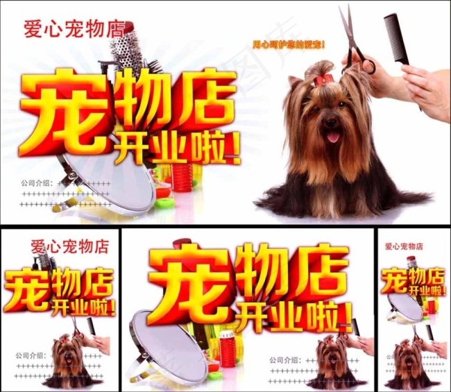 宠物海报图片(5315X5315(DPI:300))psd模版下载