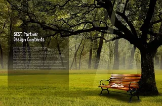 唯美树林背景大树下的草地椅子PSD