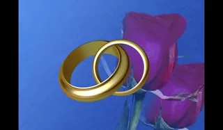 婚礼视频素材 婚图片