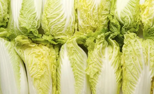 白菜 娃娃菜图片