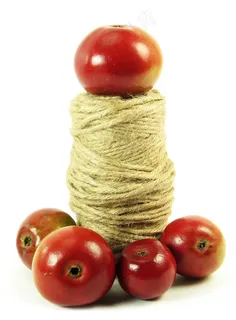 水果创意广告摄影图片