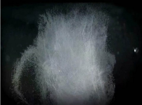 水墨视频素材