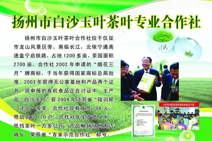 茶叶社简介图片psd模版下载