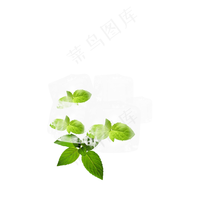 清新树叶冰块冰晶元素(300 dpi)