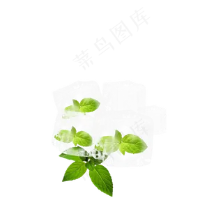清新树叶冰块冰晶元素