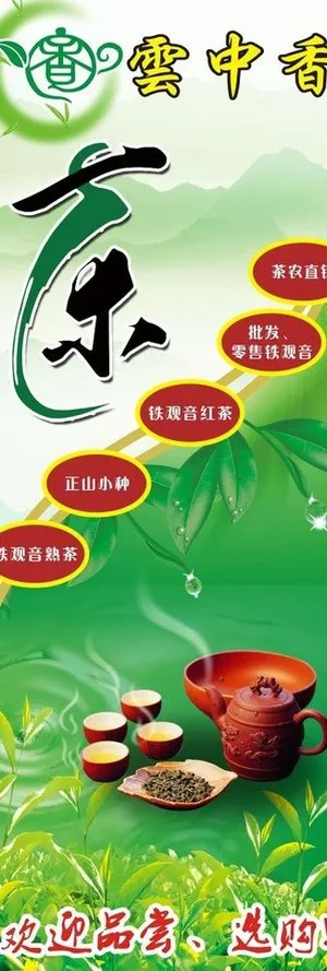 铁观音x展架图片