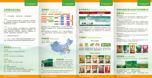 清新大气宣传折页