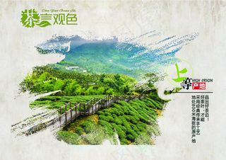 上等茶叶宣传海报
