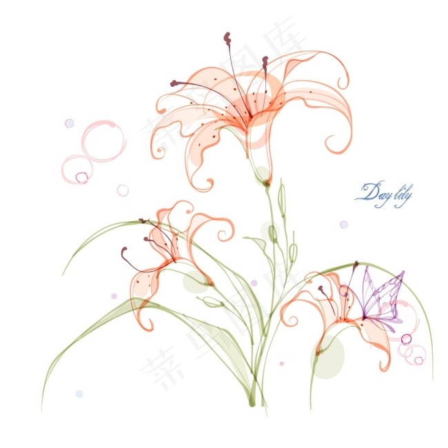 香水百合ai矢量模版下载