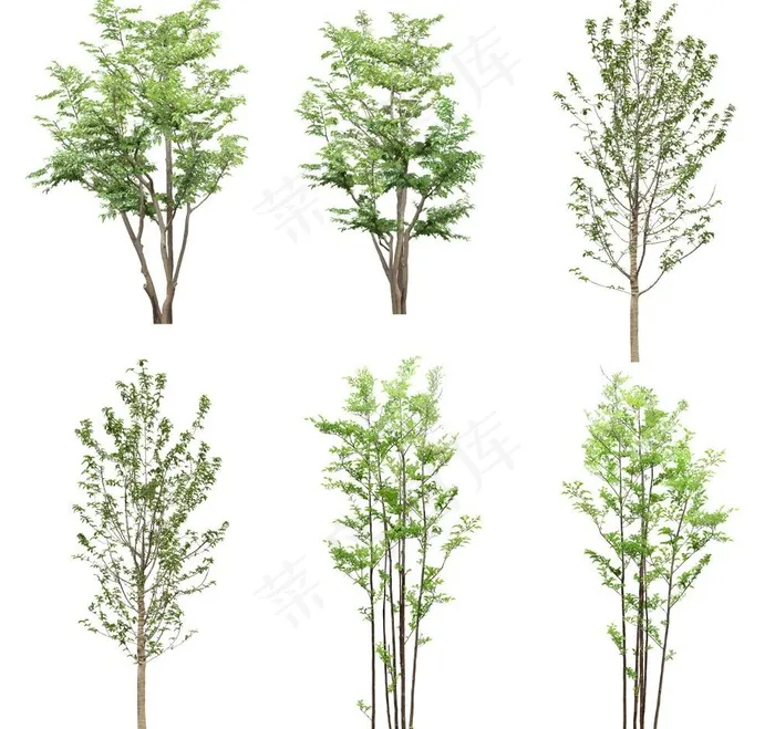 园林树木绿树绿叶图片(7000X7000(DPI:300))psd模版下载