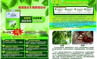 绿色药品单页图片