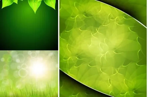 绿色植物清新背景矢量图