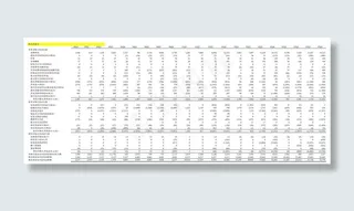 现金流量表模板