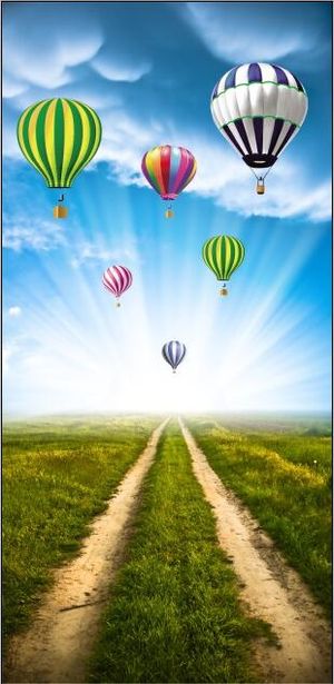 3D热气球玄关背景墙装饰画