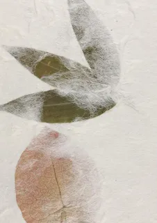 树叶 艺术纸 环保纸图片