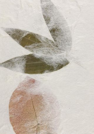 树叶 艺术纸 环保纸图片