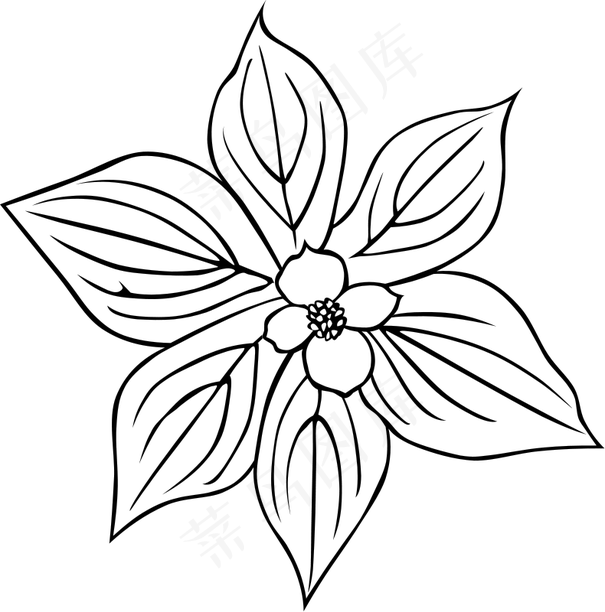 GG山茱萸加拿大一枝黄花