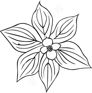 GG山茱萸加拿大一枝黄花