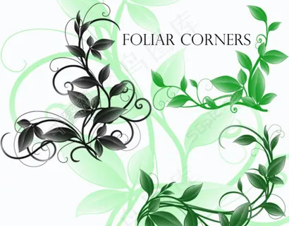 漂亮花纹ps笔刷下载图片