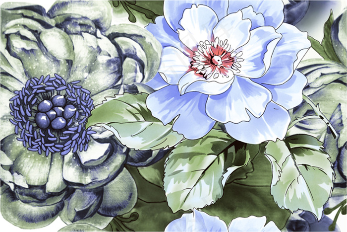 美丽的花花