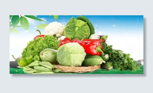 蔬菜(扣好)图片 蔬菜(扣好)图片