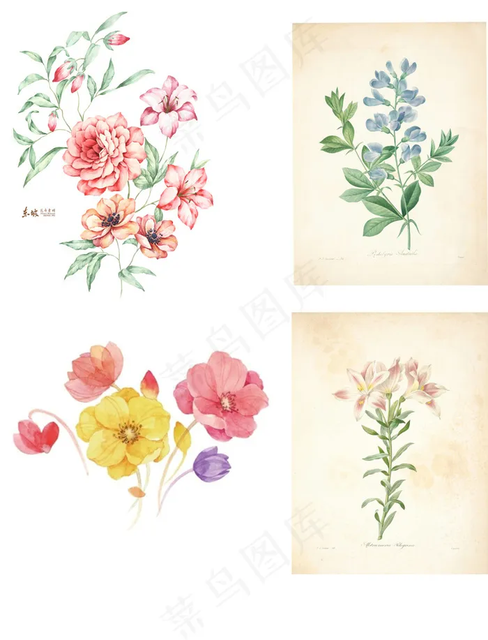清新浪漫的手绘水彩花卉免费下载psd模版下载