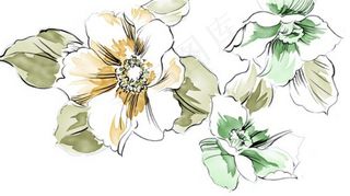 彩色花朵花瓣素描线稿上色插画文件