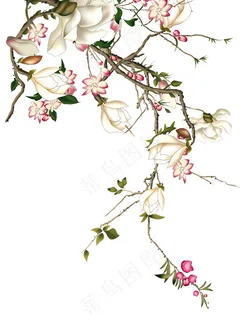 手绘鲜花图片 手绘鲜花图片