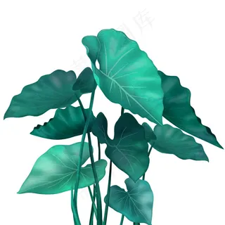 绿叶边框 绿色树叶 绿色树叶边框 底图