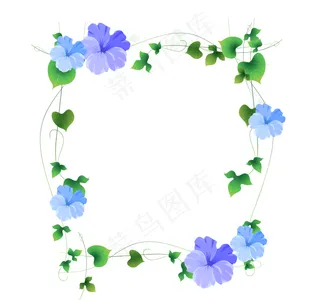 花卉边框 