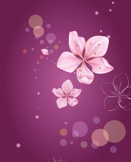 花朵移门 花朵移门