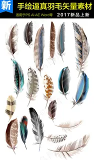 手绘逼真羽毛矢量素材