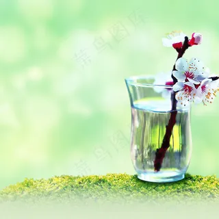 春天唯美清新花瓶杏花背景