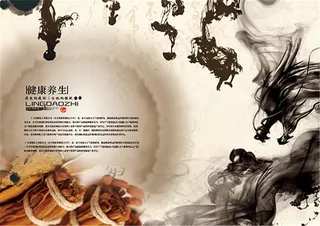 中医健康养生画册PSD免费下载