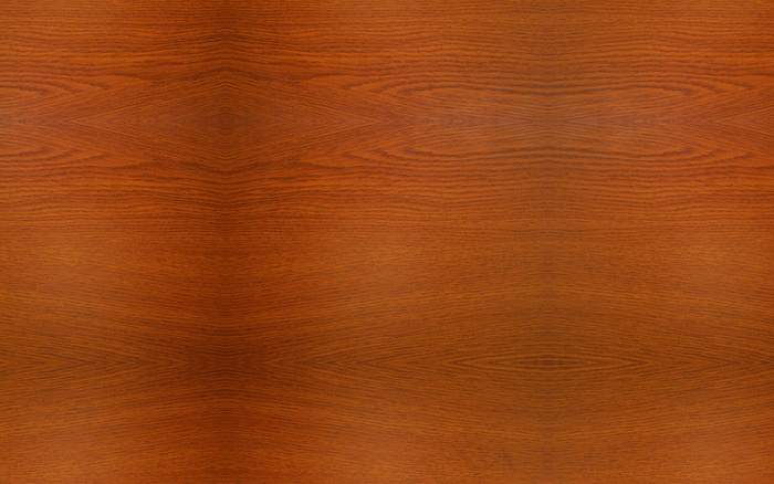 粉笔绘制校园生活AE模板