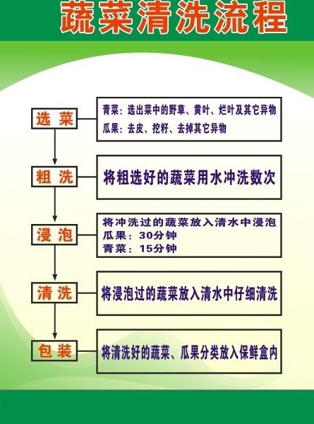 蔬菜清洗制度图片cdr矢量模版下载