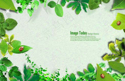 环状树叶七星瓢虫创意PSD分层素材