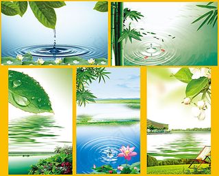 绿叶水滴 绿色背景