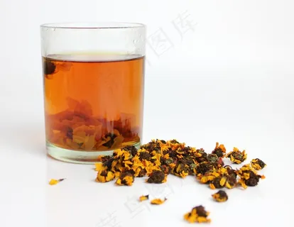 新疆昆仑雪菊图片