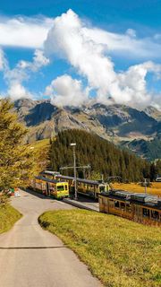 旅游观光车高清摄影图片