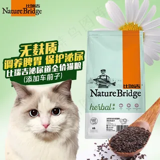 猫咪主图直通车钻展淘宝天猫电商猫粮