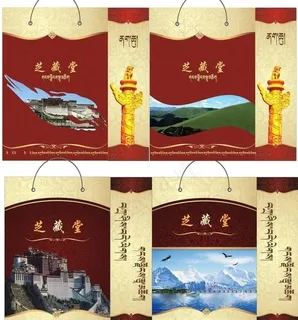 高档手提袋子图片