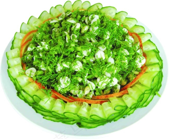 黄瓜图片素材下载