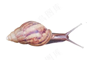 蜗牛2