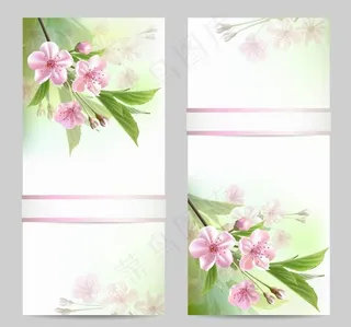 春天鲜花花卡图片