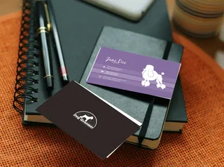 双色华丽简约简洁大方实用宠物商店商...