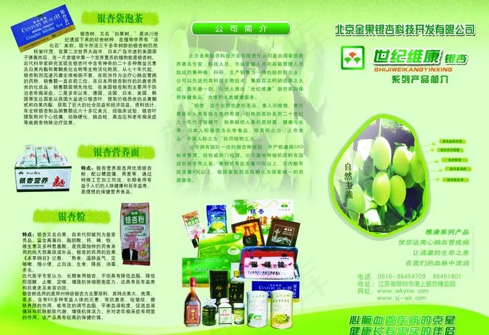银杏产品三折页图片(3437X2551(DPI:300))psd模版下载