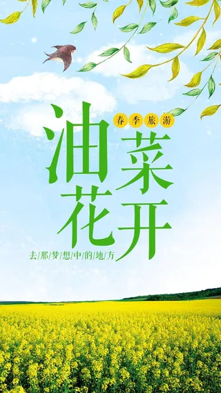 2018清新文艺风格油菜花手机海报