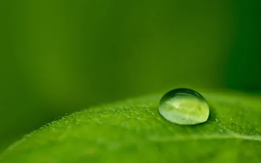 高清电脑桌面背景壁纸 高清电脑桌面背景壁纸